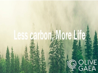 Carbon offsetting in UAE