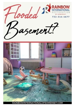 Flooded Basement