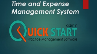 Time and Expense Management System