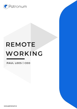 Remote Working(17)