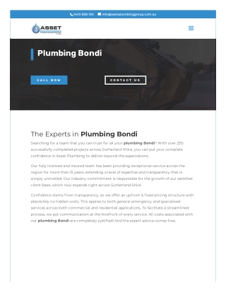 Plumber Bondi