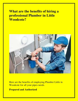 What are the benefits of hiring a professional Plumber in Little Woodcote