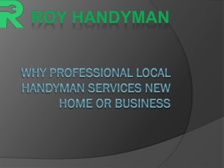 Professional Local Handyman Services for Your Home