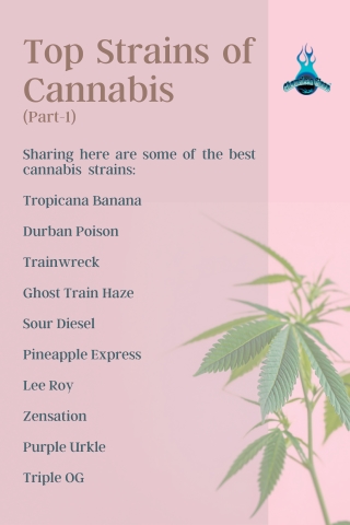 Top Strains of Cannabis