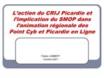 L action du CRIJ Picardie et l implication du SMOP dans l animation r gionale des Point Cyb et Picardie en Ligne