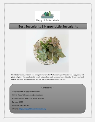 Best Succulents | Happy Little Succulents