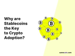 Why are stablecoins the key to crypto adoption