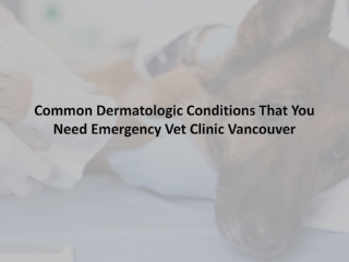 Common Dermatologic Conditions That You Need Emergency Vet Clinic Vancouver