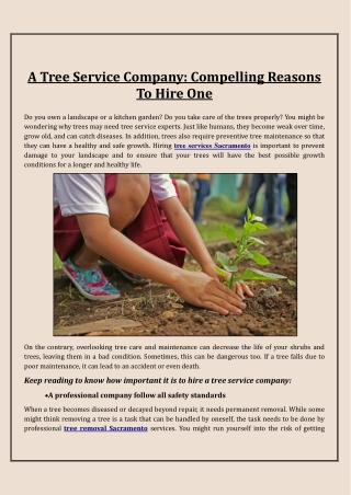 Why is Hiring a Tree Service Company a Better Option for Tree Care?