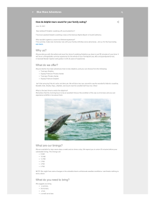 How do dolphin tours sound for your family outing?