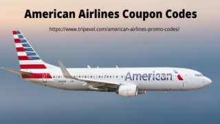 American Airlines Promo Codes & Coupons