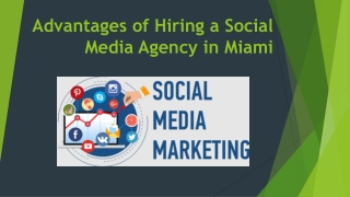 Hiring a Social Media Agency in Miami