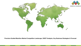Precision Guided Munition Market Competitive Landscape, SWOT Analysis