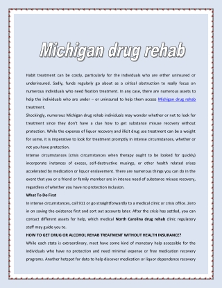 Michigan drug rehab