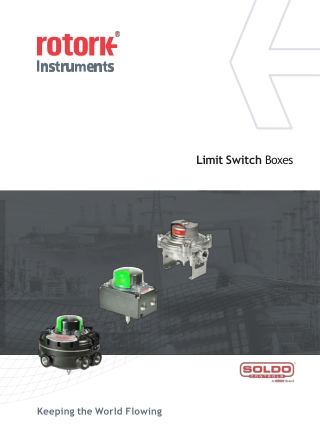 Soldo Control SE Limit Switch Box in Exporters Delhi, India | PPTX | YTC INDIA