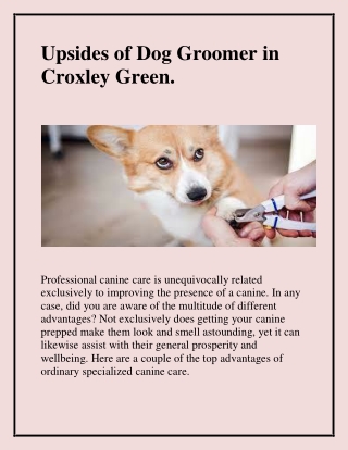 Upsides of Dog Groomer in Croxley Green.