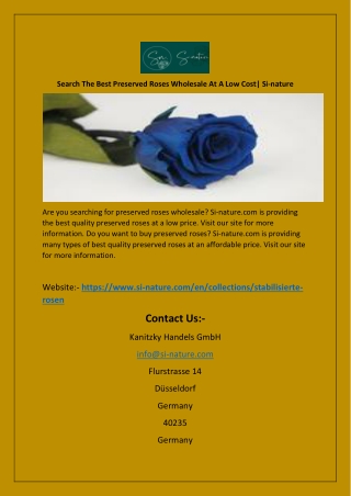 Search The Best Preserved Roses Wholesale At A Low Cost| Si-nature