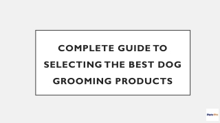 Complete Guide To Selecting The Best Dog Grooming Products