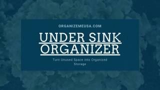 Under sink organizer