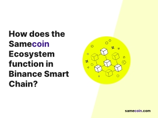 Does Samecoin Ecosystem function in Binance Smart Chain