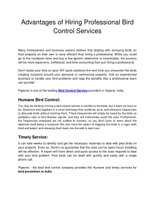 Advantages of Hiring Professional Bird Control Services