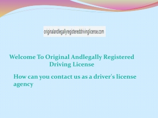 How can you contact us as a driver's license agency