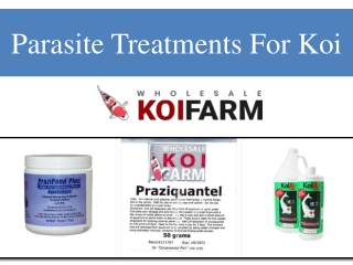 Parasite Treatments For Koi