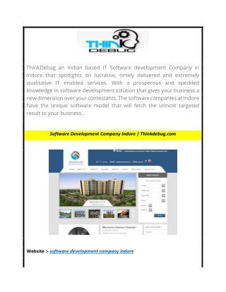Software Development Company Indore  Thinkdebug