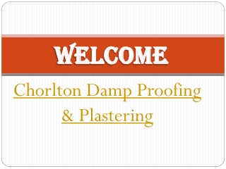 Get the best Damp Removal in Chorlton-cum-Hardy