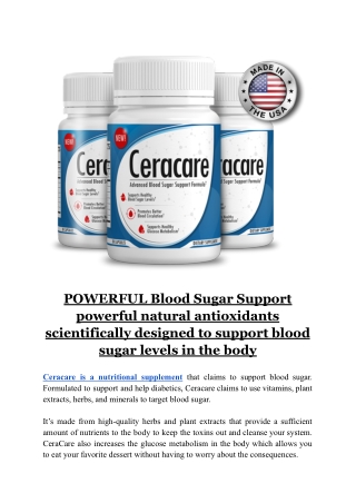 Ceracare_ Type 2 Diabetes & Blood Sugar Support