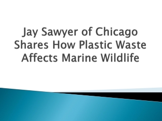 Jay Sawyer of Chicago Shares How Plastic Waste Affects Marine Wildlife