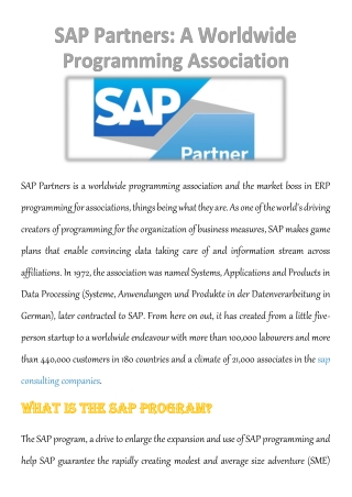 SAP Partners: A Worldwide Programming Association