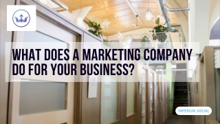 Marketing Companies Kingston