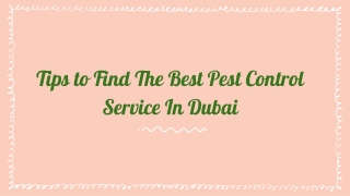 Tips to Find The Best Pest Control Service In Dubai