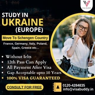 Best Study Visa Consultants In India | Visa Buddy