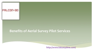 Benefits of Aerial Survey Pilot Services