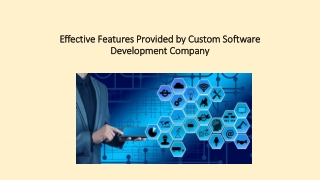 Effective Features Provided by Custom Software Development