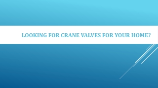 Looking for Crane Valves for Your Home?