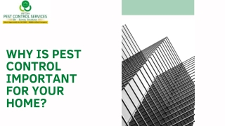 Why is Pest Control Important For Your Home