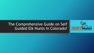 Self Guided Elk Hunts In Colorado | Hunt Nation