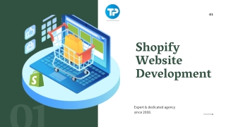 Hire Shopify Expert with Extensive Knowledge & Skills