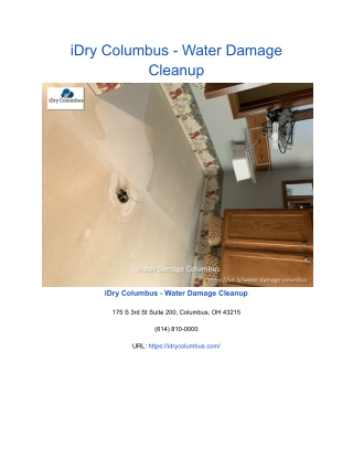 iDry Columbus - Water Damage Cleanup