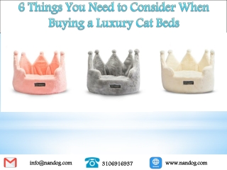 6 Things You Need to Consider When Buying a Luxury Cat Beds