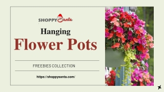 Hanging Flower Pots Online at ShoppySanta