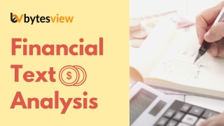 Financial Text Analysis