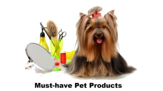 Must Have Pet Products