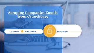 Scraping Companies Emails from Crunchbase