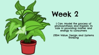 Photosynthesis Middle School