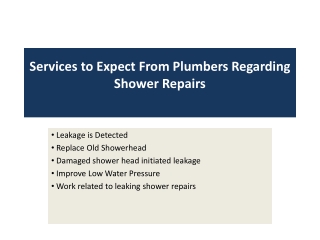 Services to Expect From Plumbers Regarding Shower Repairs