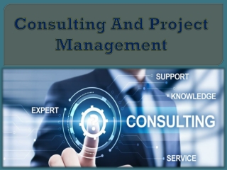 Consulting And Project Management